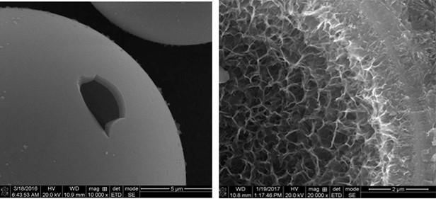 High Magnification Micrograph of the Microsphere Surface